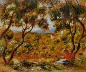 Die Weinberge in Cagnes